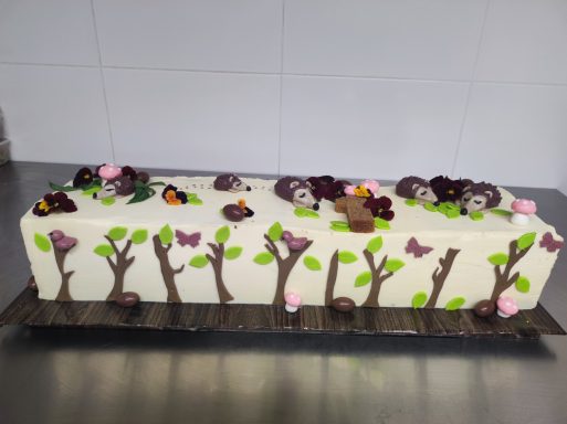 Long cake hérisson 1an